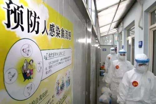 【实时】注意：全国已进入H7N9疫情高发季节！