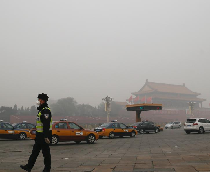 北京陷重雾霾 狗狗戴起防霾口罩