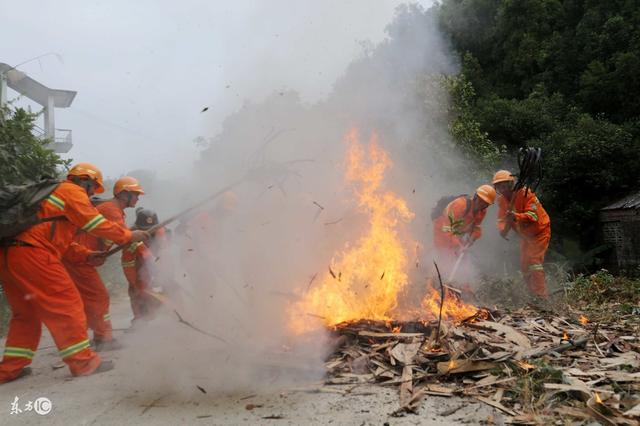 林业行业如何提高避免安全生产事故的能力？